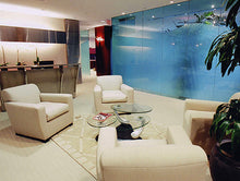 EXECUTIVE OFFICES QUALCOM  BEVERLY HILLS